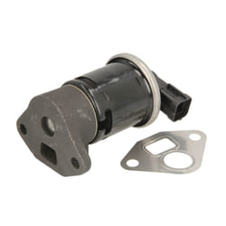 Vanne EGR DELPHI EG10445-12B1