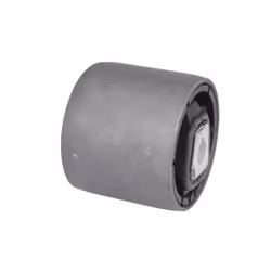 Silent bloc de suspension DELPHI TD1735W