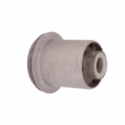 Silent bloc de suspension DELPHI TD1754W