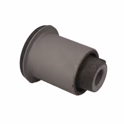 Silent bloc de suspension DELPHI TD1755W