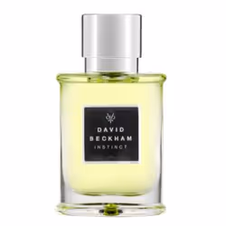 David Beckham Instinct 30ml, Hommes, 30 ml, Flacon non réutilisable, Bergamote, Pamplemousse, Mandarin, Bergamot, Grapefruit, ...