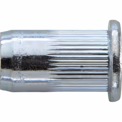 Acier de l'écrou à rivet aveugle, standard, tête en forme de dôme • Matériel: acier, galvanisé RENSEIGNEMENTS SUR LE PRODUIT: ...