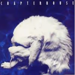 Cherry Red Records CDMRED304, CD, Chapterhouse, 200 g