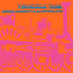 Cherry Red Records PSYCHEDELIC TRAIN: EXPANDED EDITION, Reggae, Derrick Harriot &amp; The Crystalites, Support physique, Adul ...