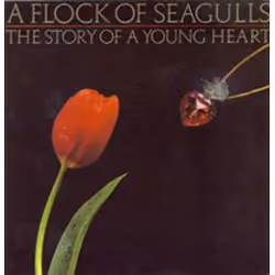Cherry Red Records CRPOP5, CD, A Flock Of Seagulls, 200 g