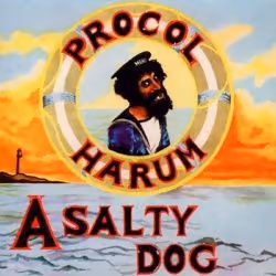 Cherry Red Records A Salty Dog REMASTERED EDITION, Support physique, Adulte