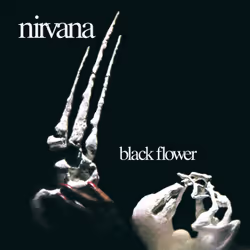 Cherry Red Records Nirvana: Black Flower, Re-Mastered &amp; Expanded Edition, Rock, Nirvana (UK), Support physique, Adulte