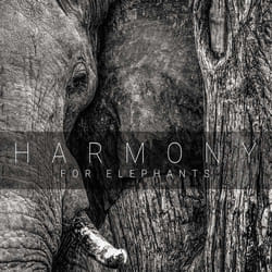 Cherry Red Records Harmony For Elephants: Various Artists, A Charity Album Rock