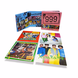 Cherry Red Records 999: The Albums 1977 – 80, 4CD Clamshell Boxset, Punk, CD, Support physique, Adulte