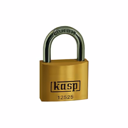 Solide corps en laiton Livré avec 2 clés Cadenas à clé identique (toujours même clé) Anse en acier durci et mécanisme de ferm ...