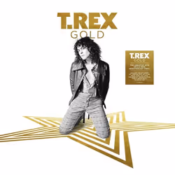 2 Entertain Gold (2LP), Rock, Vinyl, T.Rex, Support physique, Adultes, Debora One Inch Rock Ride A White Swan Cosmic Dancer L ...