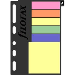 Filofax 210136 étiquette auto-collante Rectangle Noir, Multicolore