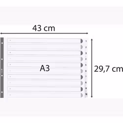 Exacompta MWD1-10A3Z intercalaire Carton Blanc