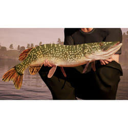 Maximum Games Fishing Sim World