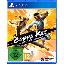 GAME Cobra Kai The Karate Kid Saga Continues, PlayStation 4