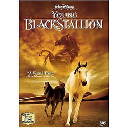 Disney Young Black Stallion DVD Anglais