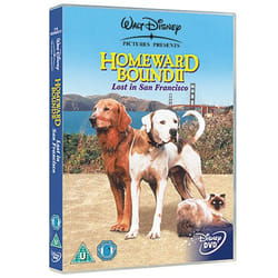 Disney Homeward Bound 2 DVD Anglais