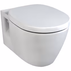 Cuvette WC à fond plat suspendue en porcelaine de cristal. Elle est équipée d'une bride émaillée et convient pour les réservo ...