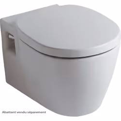 DESCRIPTIONCuvette suspendue Connect - Dim : 54,5 x 36,5 cm - Carénée - Bride fermée - Chasse directe, alimentation indépenda ...