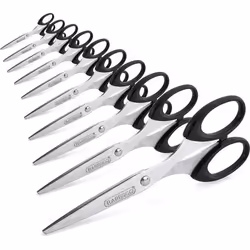 Ciseaux - RAPESCO - 1579 - Lot de 10 - 16 cm - Lames en acier inoxydable - Couleur noire