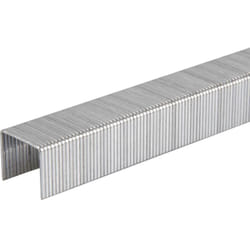 Agrafes type 53 Tacwise 53/6MM 0331