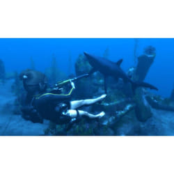 Eidos Tomb Raider Underworld