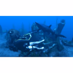 Eidos Tomb Raider Underworld, T (Teen)