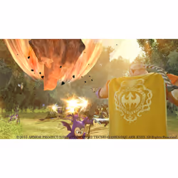 Square Enix DRAGON QUEST HEROES : Le Crépuscule de l'Arbre du Monde Premier jour Français PlayStation 4 - Vue supplémentaire 9