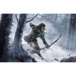 Square Enix Rise of the Tomb Raider - 20 Year Celebration Edition Premier jour Allemand, Anglais, Chinois simplifié, Coréen, Espagnol, Français, Italien, Japonais, Néerlandais, Polonais, Portugais, Russe PlayStation 4 - Vue supplémentaire 2