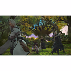 Square Enix Final Fantasy XIV Online - Shadowbringers - Complete Edition Complet Allemand, Anglais, Français, Japonais PC
