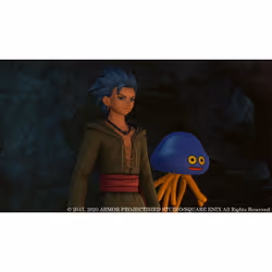 Nintendo Dragon Quest XI S: Les Combattants de la destinée - Édition ultime Complet PlayStation 4 - Vue supplémentaire 19
