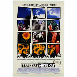 Artificial Eye Black Cat White Cat (1998), Film, DVD, PG-15, Coloré, Multilingue, 124 min