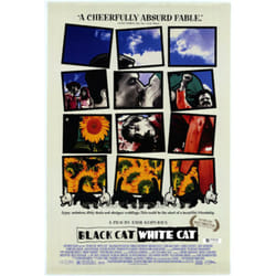Artificial Eye Black Cat White Cat (1998) DVD Multilingue