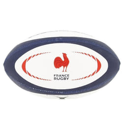 Ballon Replica France 2021/22