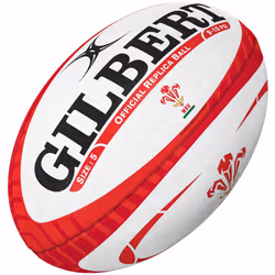 Lot de 10 ballons Pays de Galles - TU
