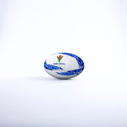 Ballon Samoa Supporter