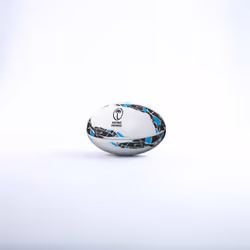 Ballon Fidji Supporter