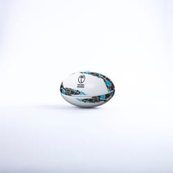 Ballon Fidji Supporter