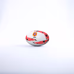 Ballon Tonga Supporter
