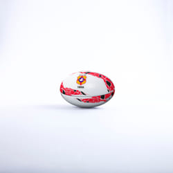 Ballon Tonga Supporter
