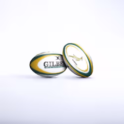 Ballon Afrique du Sud Springboks