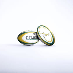 Ballon Afrique du Sud Springboks