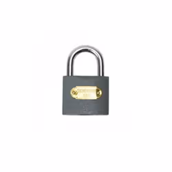 Cadenas en fer, cylindre en laiton. Anse en acier durci. Mecanisme à goupilles. Trois clés en acier.