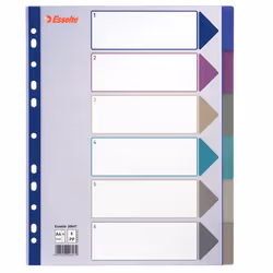 Esselte Plastic tab, A4, 245 mm, 305 mm