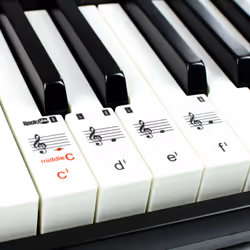 RockJam RJ549 piano numérique 49 touche(s) Noir - Vue supplémentaire 7