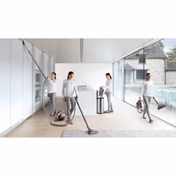 Dyson Cinetic Big Ball AnimalPro 2 0,8 L Aspirateur réservoir cylindrique Sec 700 W Sans sac
