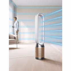 Dyson Purifier Cool PC2 De-NOx