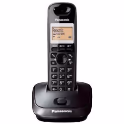 Panasonic KX-TG2511FX, Téléphone DECT, Haut-parleur, 50 entrées, Identification de l'appelant, Noir