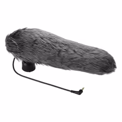 Panasonic DMW-MS2E microphone Noir Microphone de caméscope