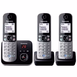 Panasonic KX-TG6823 Téléphone DECT Identification de l'appelant Noir, Argent